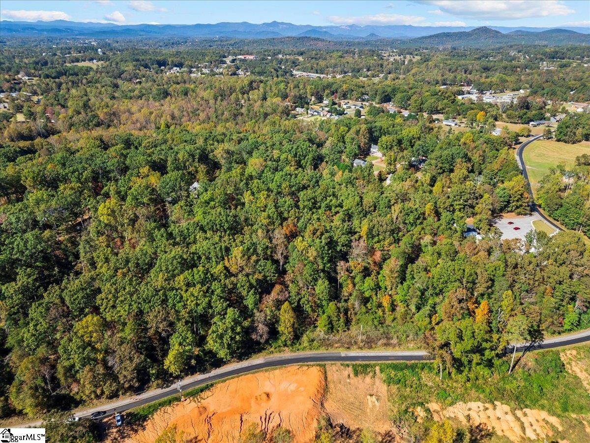 0 Griffin Mill Road, Unit TRACT C Easley, SC 29640 - Photo 8 of 26