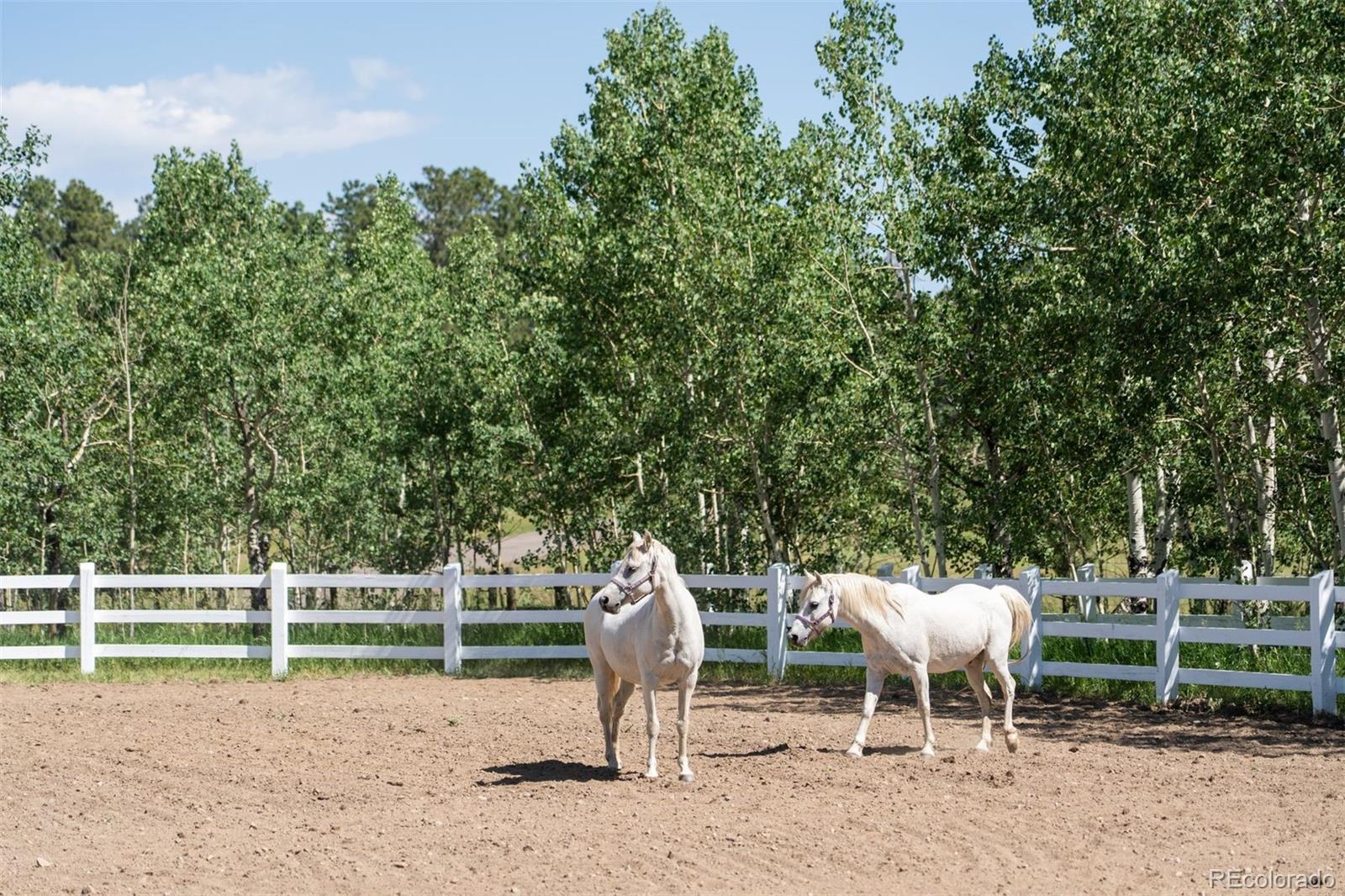 12351 South Ridge Road Conifer, CO 80433 - Photo 45 of 50 a view of a backyard with chairs