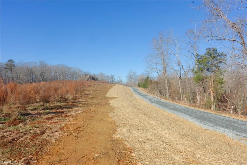 3 Roby Fulk Road Pinnacle, NC 27043 - Photo 16 of 25