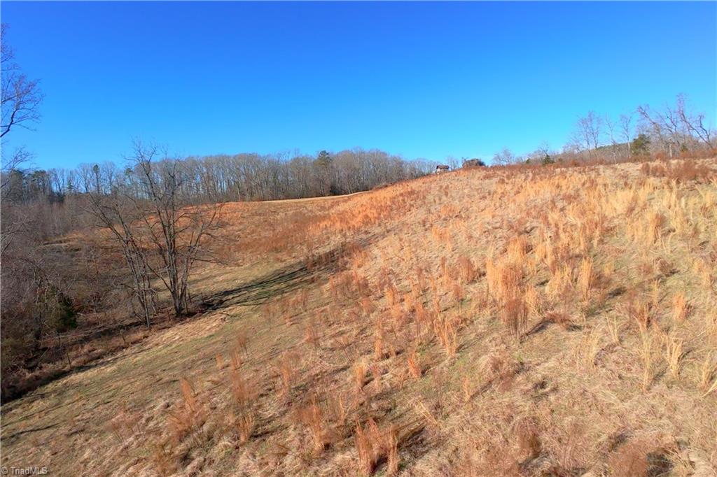 3 Roby Fulk Road Pinnacle, NC 27043 - Photo 19 of 25