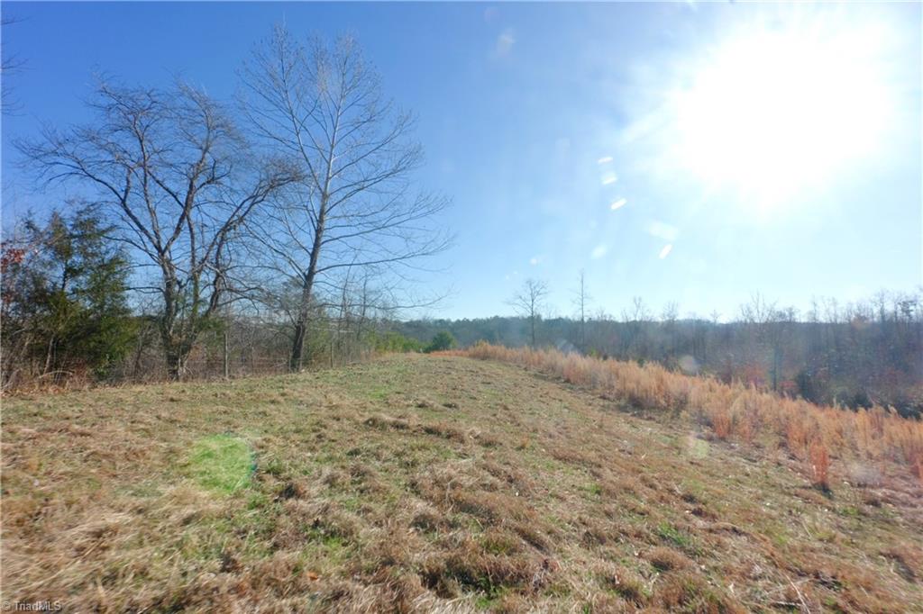 3 Roby Fulk Road Pinnacle, NC 27043 - Photo 3 of 25