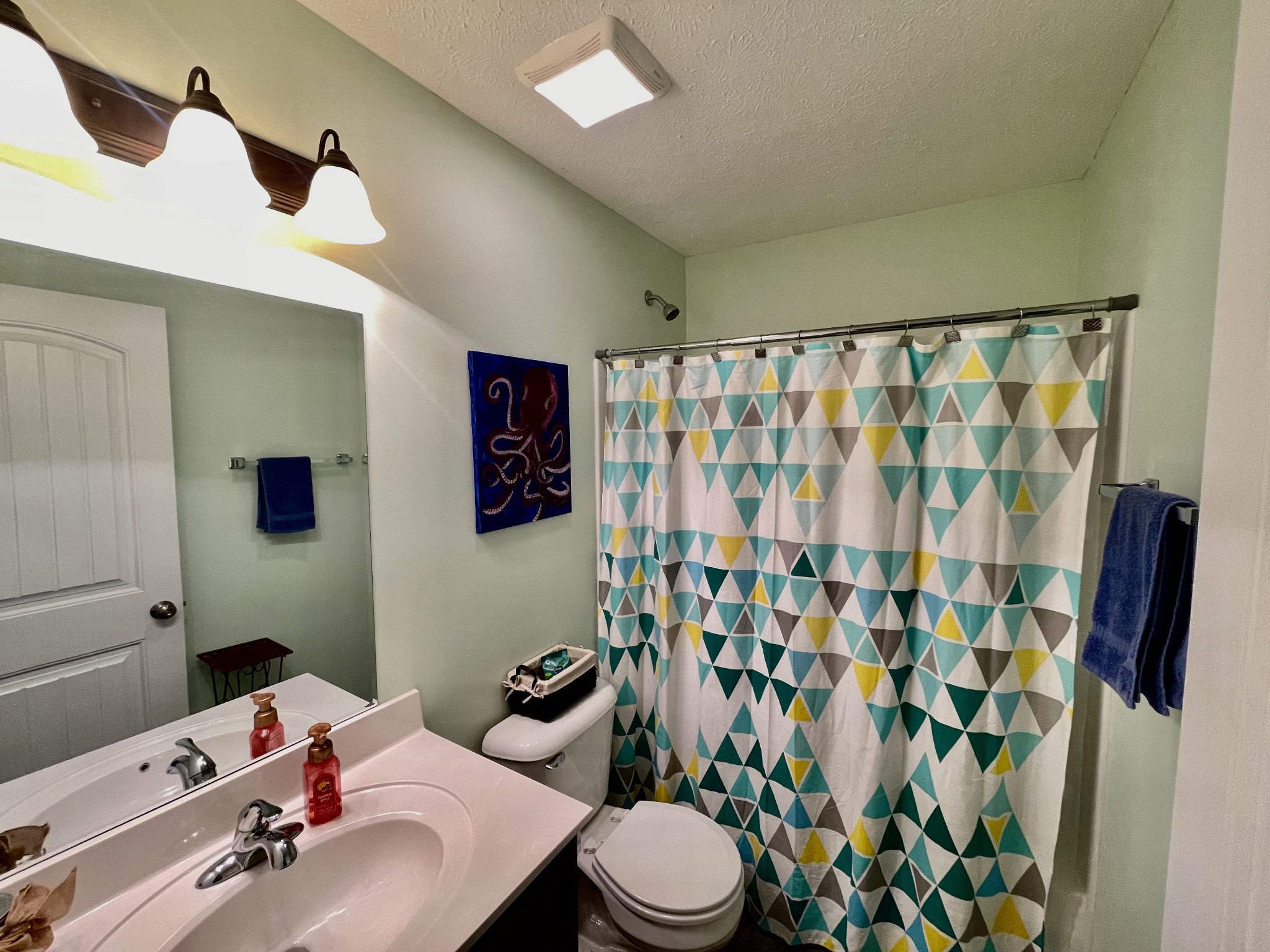 339 Golfview Lane Springfield, TN 37172 - Photo 31 of 34 a bathroom with a sink a toilet and shower curtain