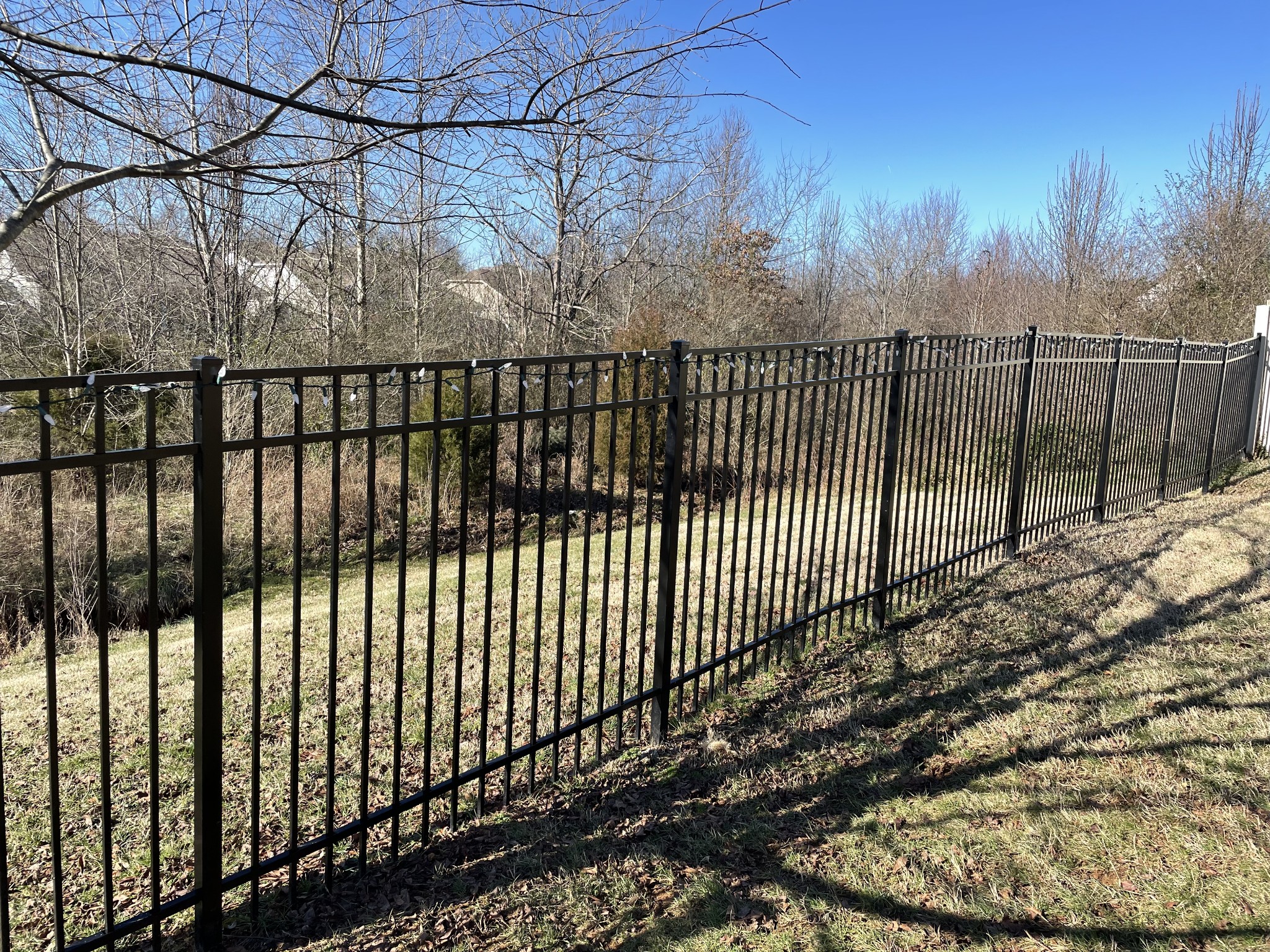 339 Golfview Lane Springfield, TN 37172 - Photo 4 of 34 a view of a backyard