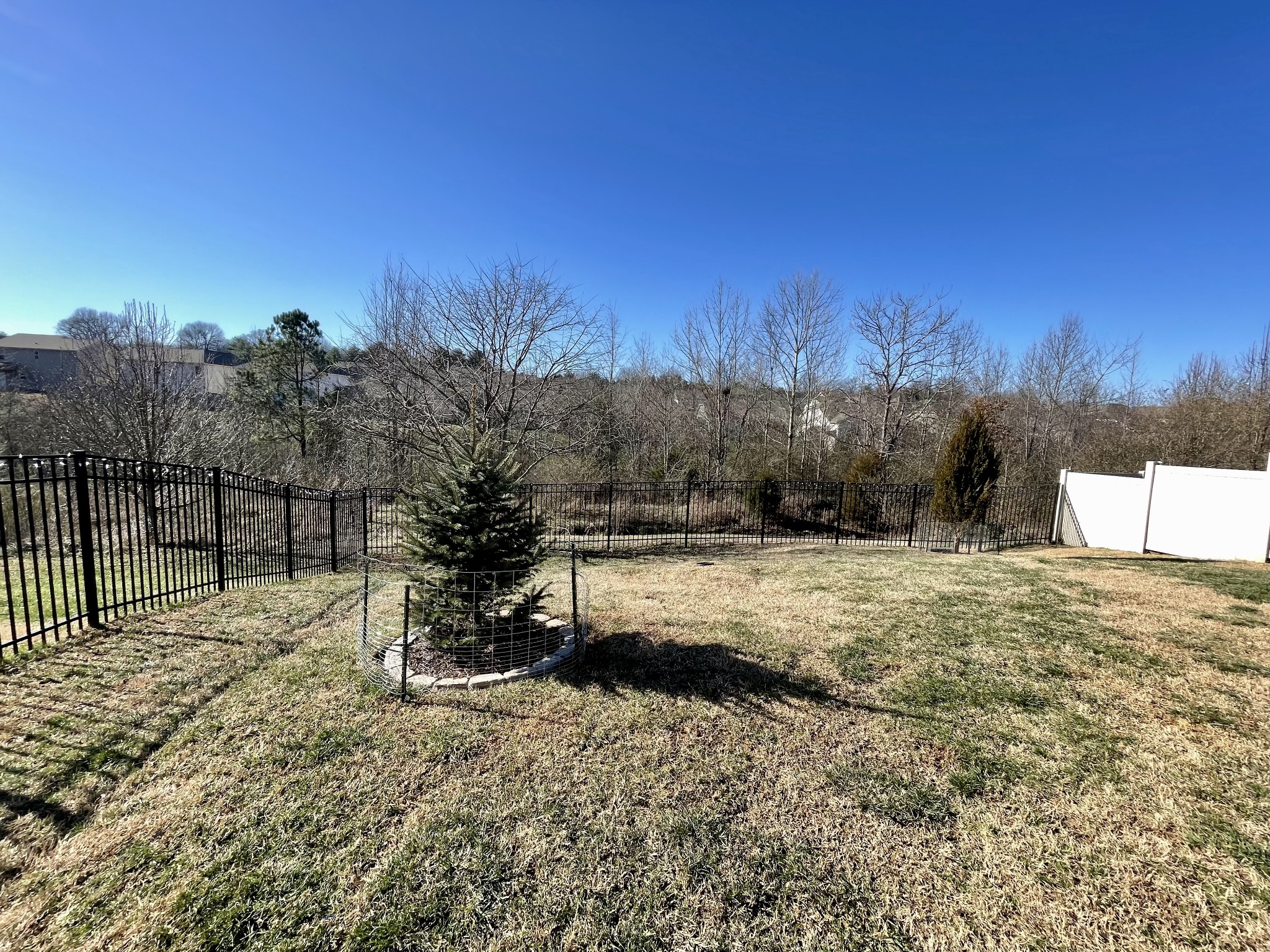 339 Golfview Lane Springfield, TN 37172 - Photo 6 of 34 a view of a yard with a tree