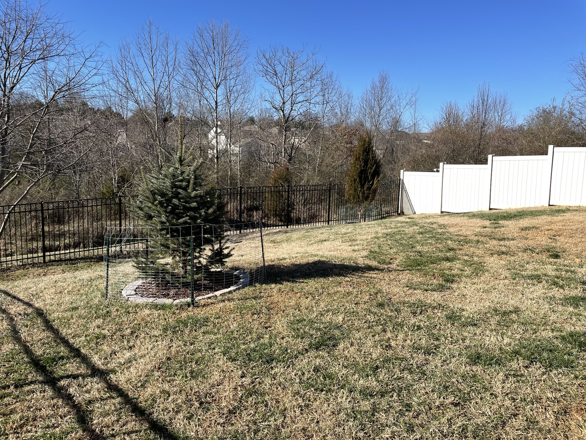 339 Golfview Lane Springfield, TN 37172 - Photo 8 of 34 a view of a yard with large trees