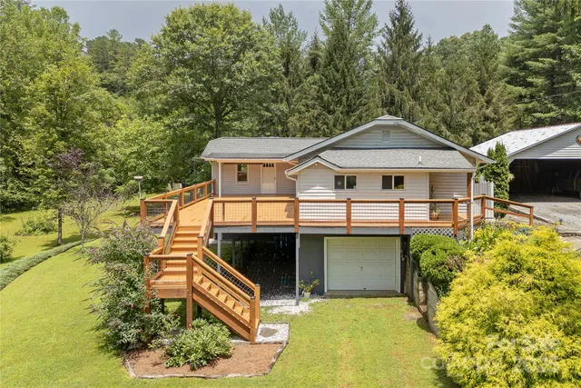 a view of a yard with plants and large trees