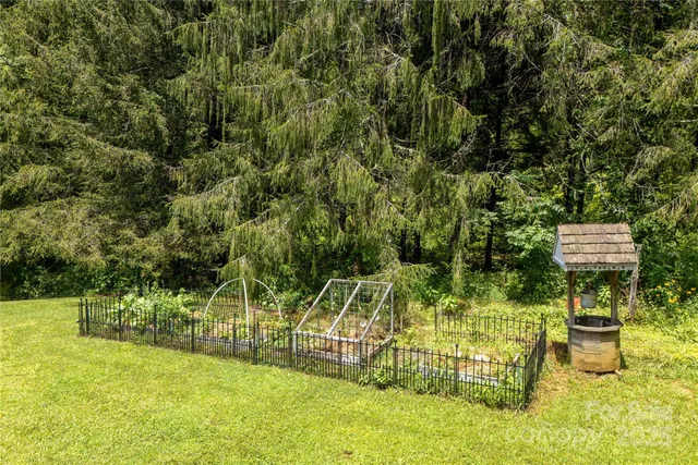a view of a yard with plants