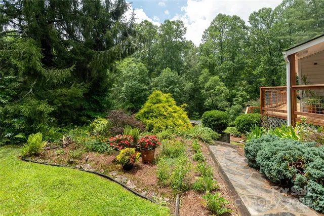 a view of a garden with potted plants