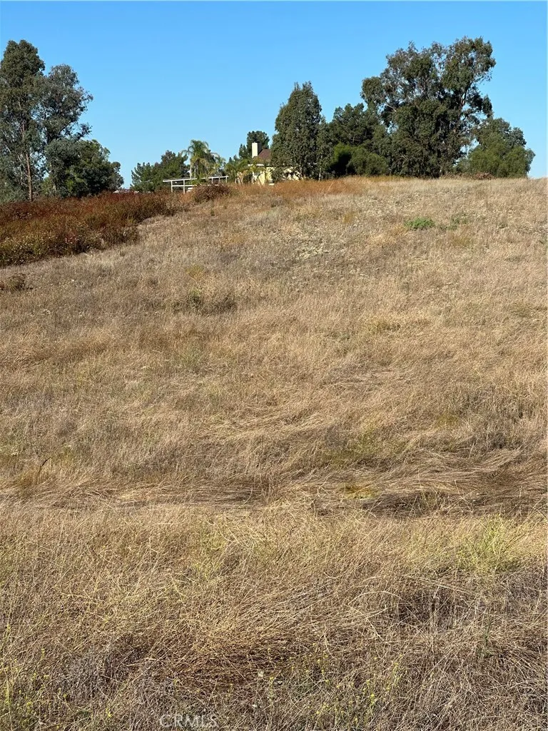 48 Mazoe Winchester, CA 92596 - Photo 5 of 13 a view of a field