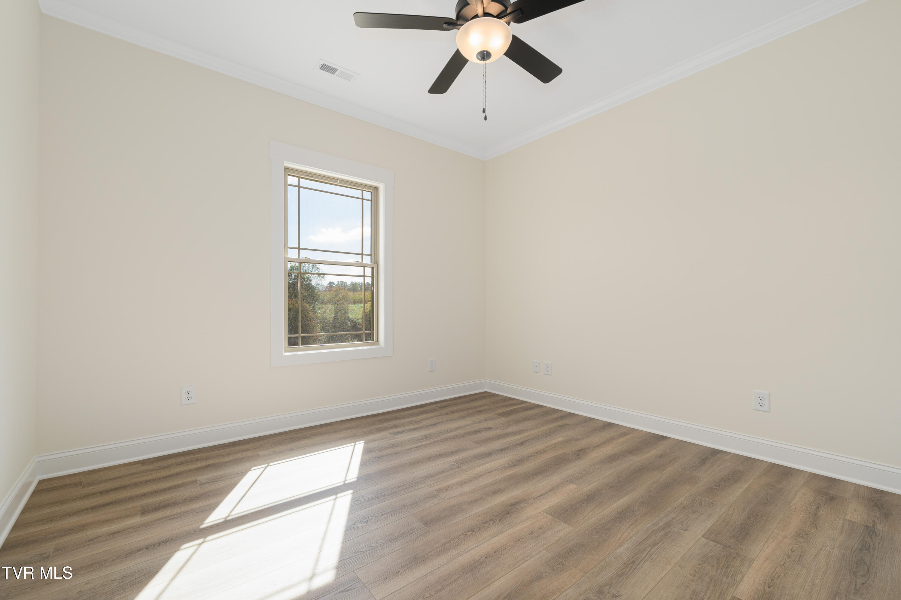 1321 Bowmantown Road Limestone, TN 37681 - Photo 23 of 44 1321 Bowmantown Rd (34 of 44)