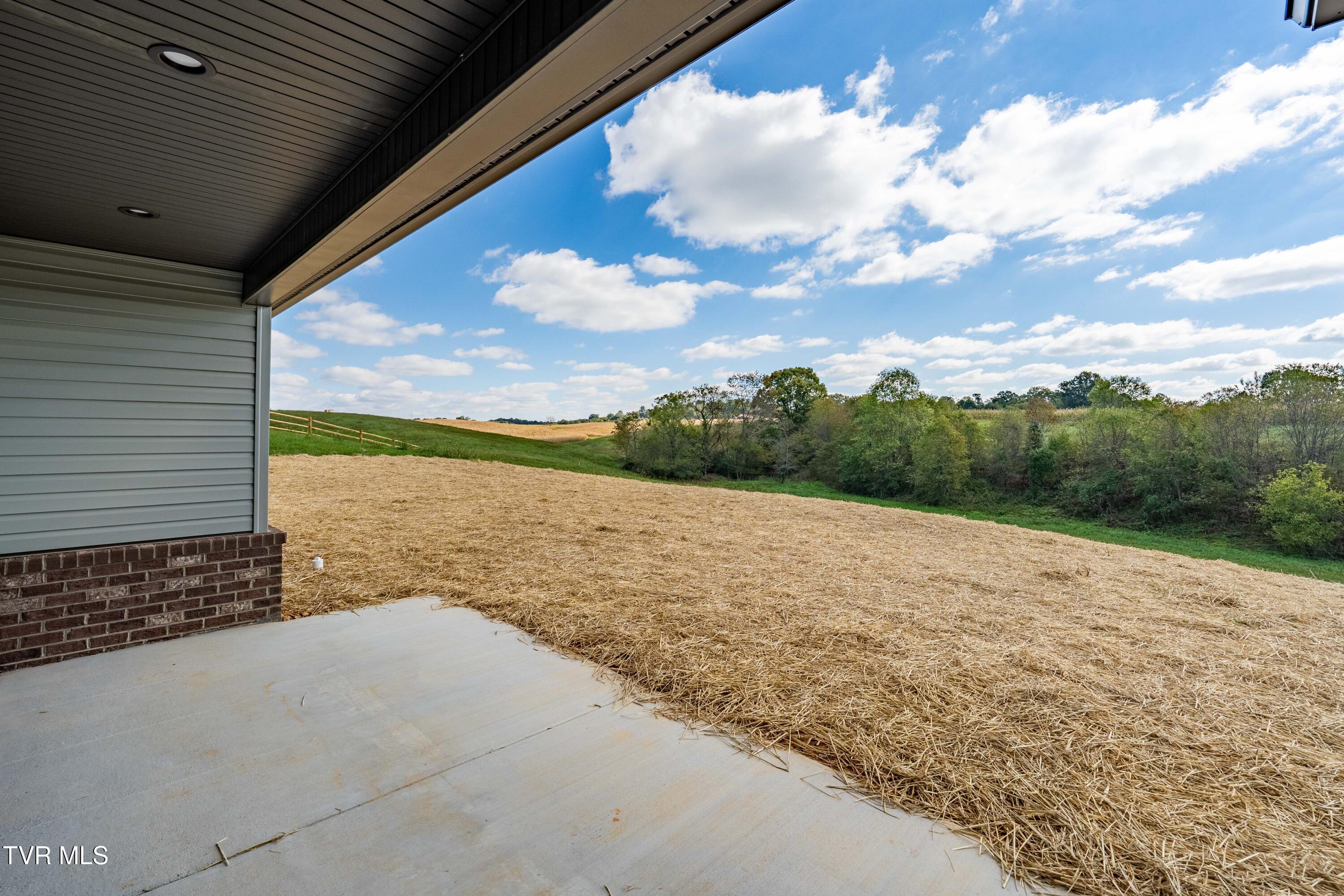 1321 Bowmantown Road Limestone, TN 37681 - Photo 39 of 44 1321 Bowmantown Rd (18 of 44)