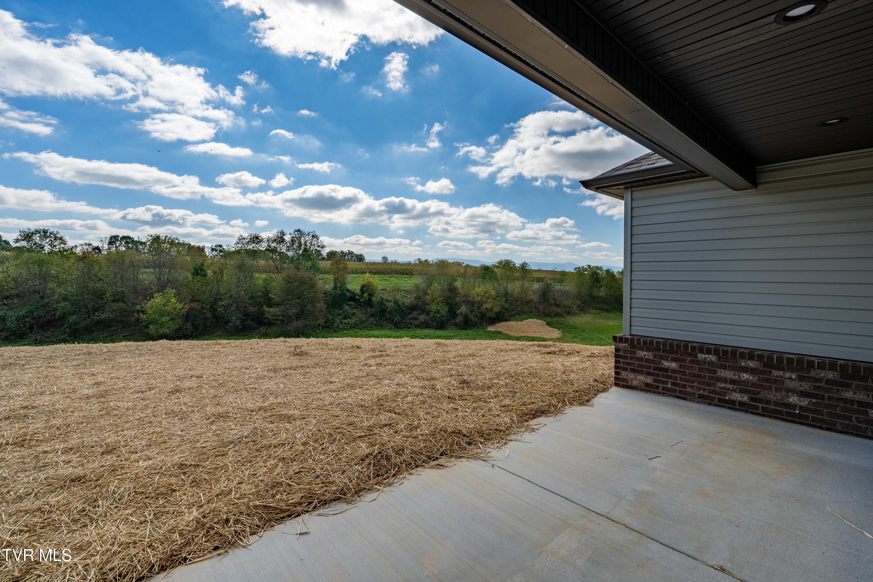 1321 Bowmantown Road Limestone, TN 37681 - Photo 40 of 44 1321 Bowmantown Rd (17 of 44)