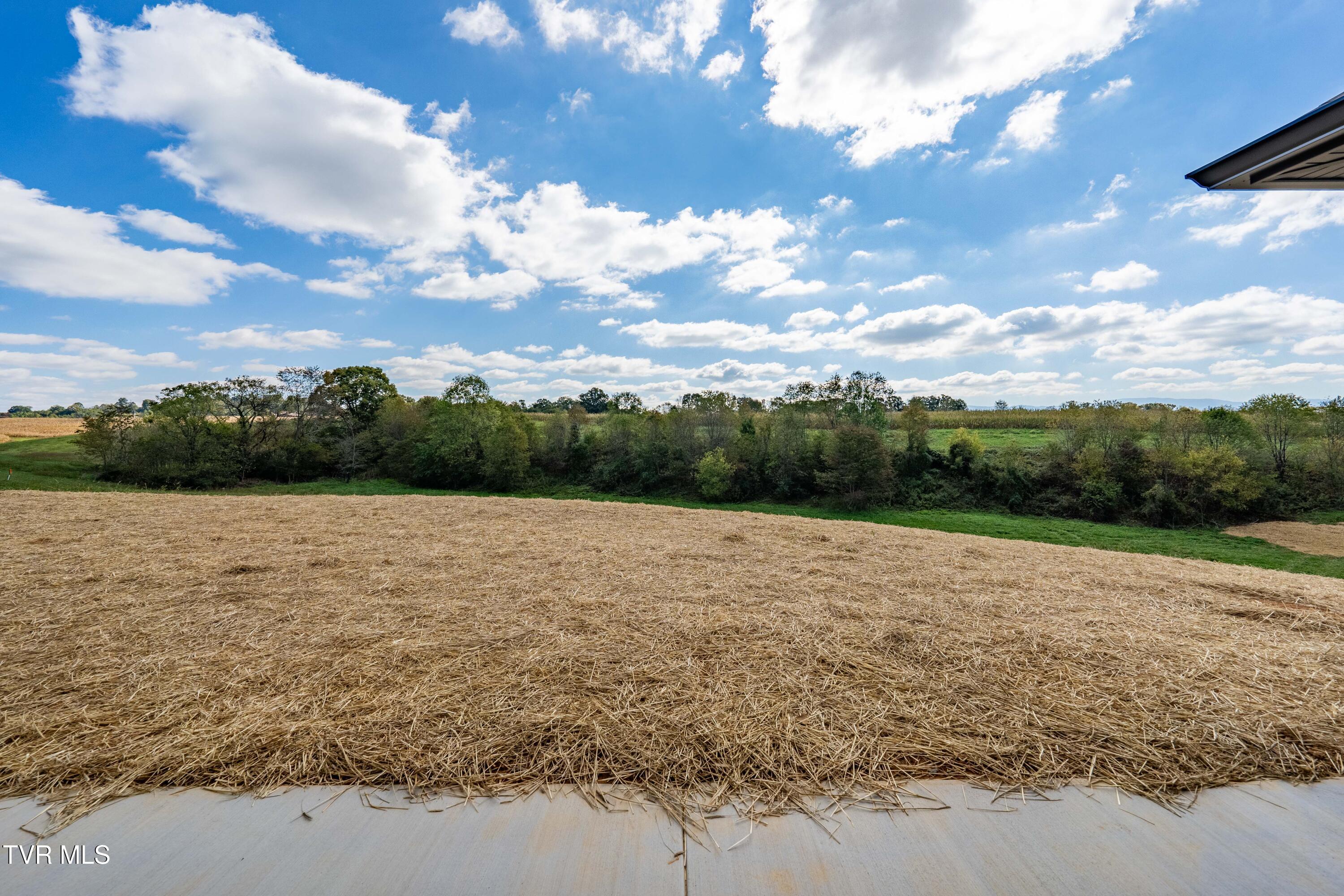 1321 Bowmantown Road Limestone, TN 37681 - Photo 41 of 44 1321 Bowmantown Rd (19 of 44)