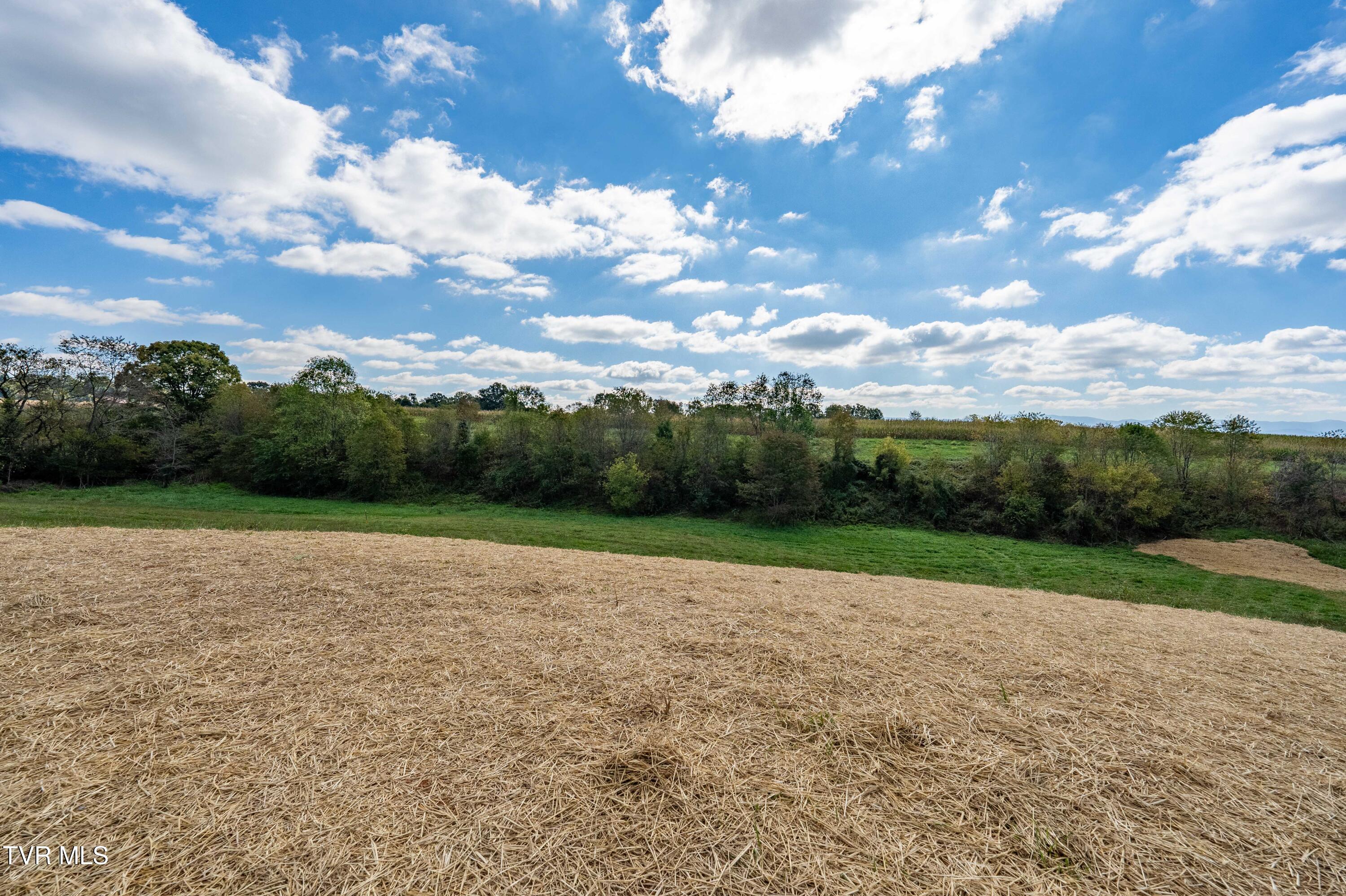 1321 Bowmantown Road Limestone, TN 37681 - Photo 42 of 44 1321 Bowmantown Rd (15 of 44)