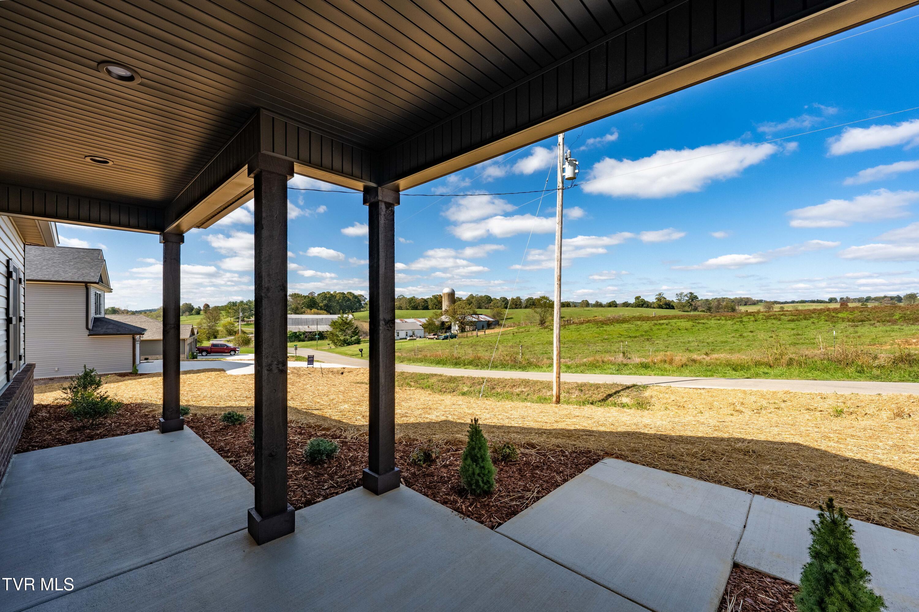 1321 Bowmantown Road Limestone, TN 37681 - Photo 5 of 44 1321 Bowmantown Rd (8 of 44)