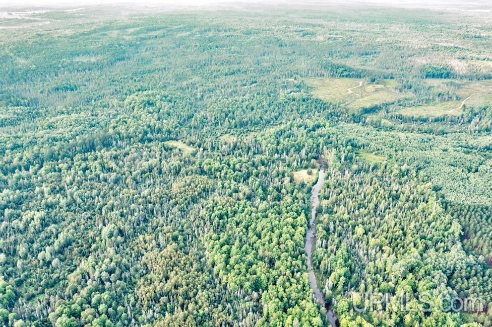64.84 A Off S15 Road Rapid River, MI 49878 - Photo 12 of 16 Gallery Image 12