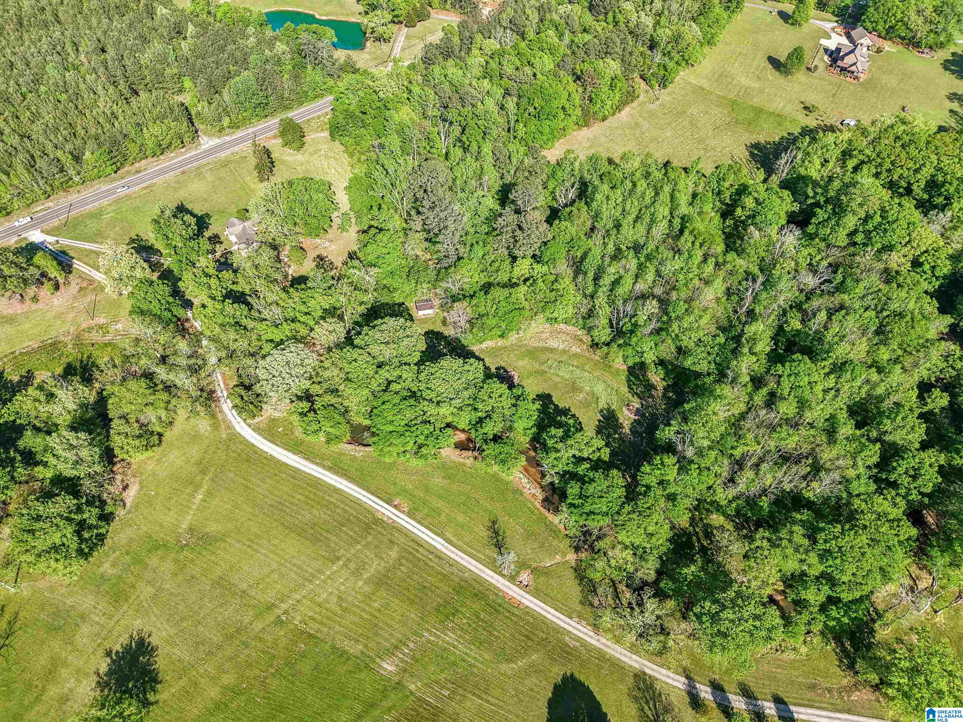 1680 Highway 174 Springville, AL 35146 - Photo 11 of 97