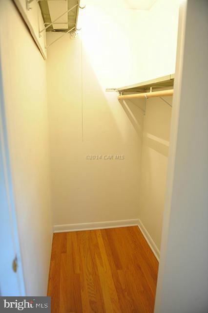 721 Riverside Drive Salisbury, MD 21801 - Photo 22 of 45 Gallery Image 22