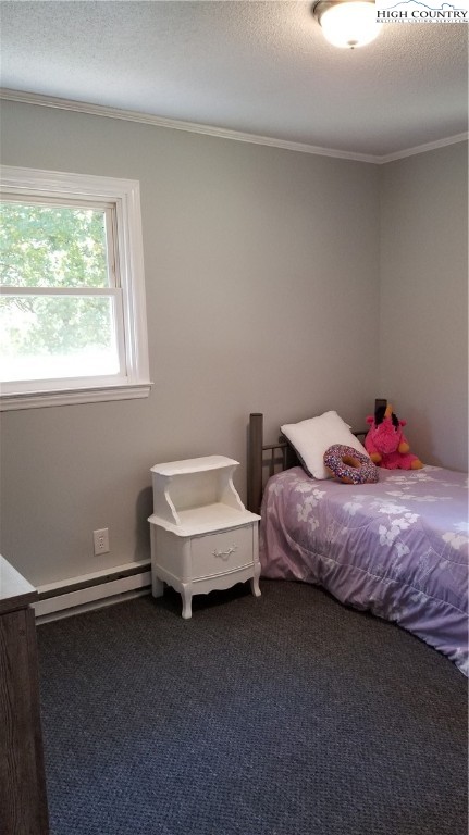 50 Rolling Green Road Sparta, NC 28675 - Photo 17 of 23 Gallery Image 17