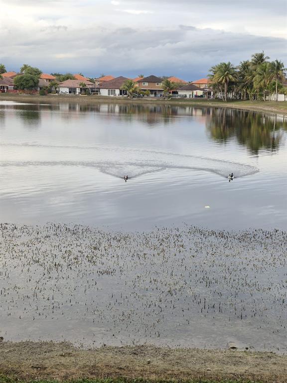 15449 Southwest 35th Terrace Miami, FL 33185 - Photo 11 of 11