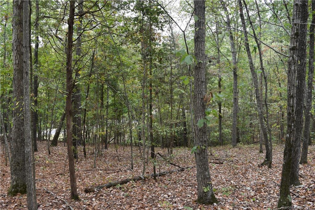 0 Alpine Road Albemarle, NC 28001 - Photo 2 of 6 Gallery Image 2