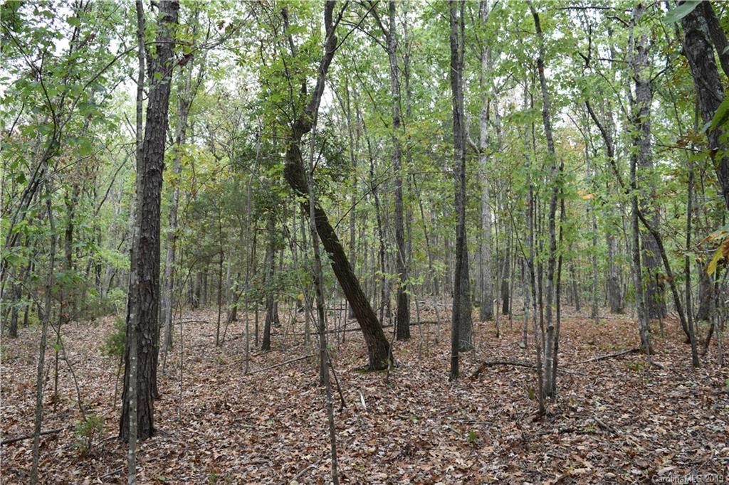 0 Alpine Road Albemarle, NC 28001 - Photo 6 of 6 Gallery Image 6