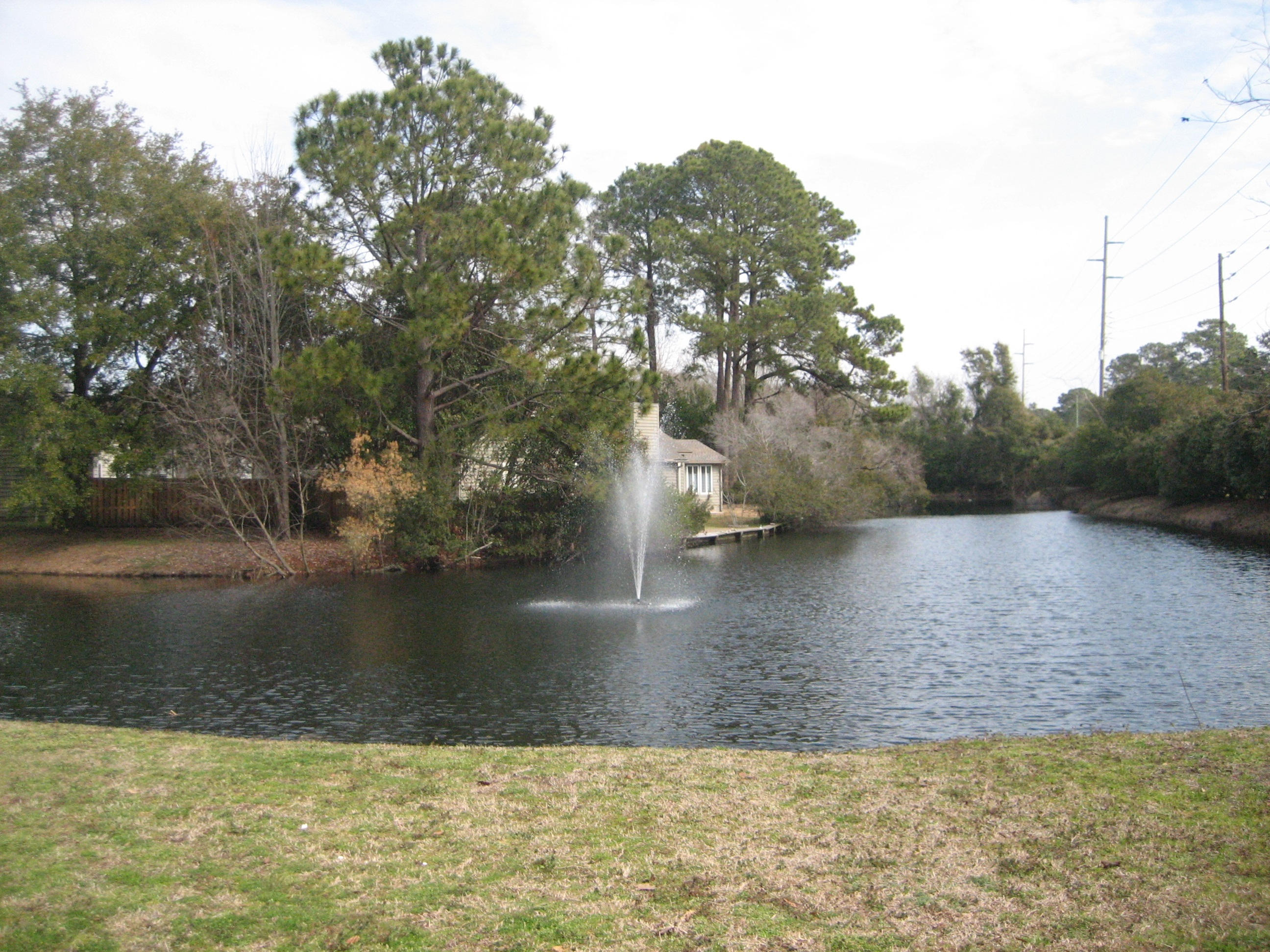 1271 Llewellyn Road Mount Pleasant, SC 29464 - Photo 23 of 25 front pond chelsea