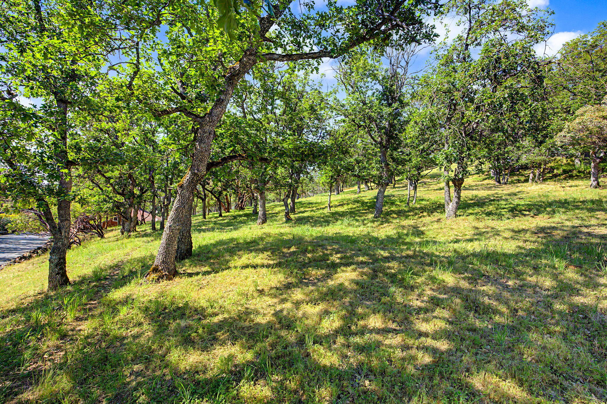 5366 Pioneer Road Medford, OR 97501 - Photo 35 of 36 APX_2050