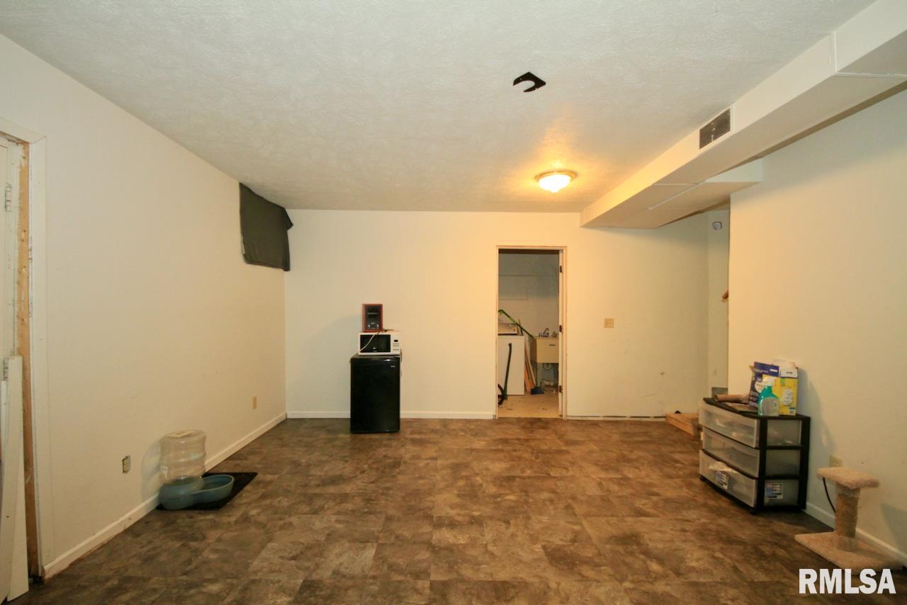 306 South Gray Drive Carbondale, IL 62901 - Photo 15 of 18