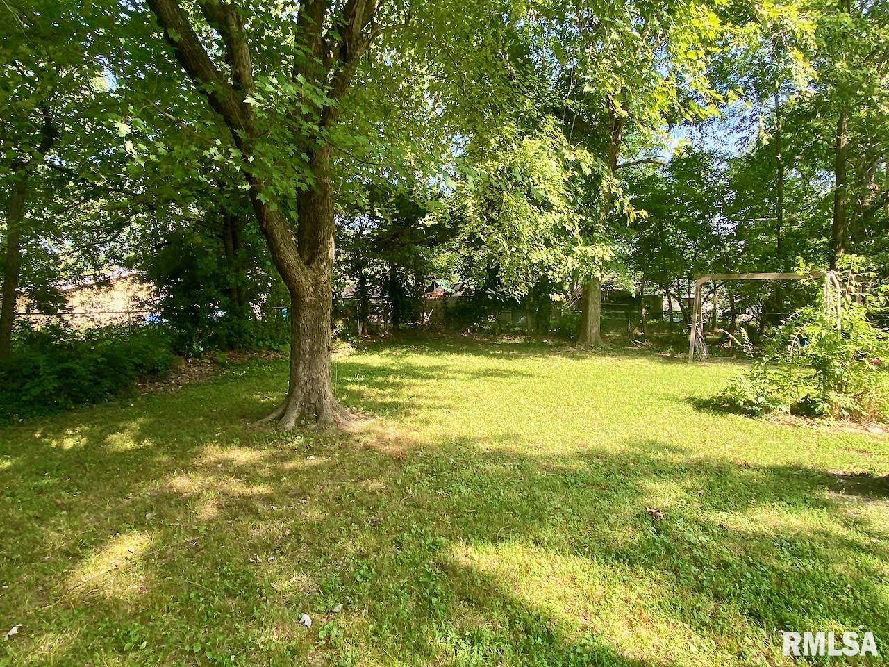 306 South Gray Drive Carbondale, IL 62901 - Photo 16 of 18