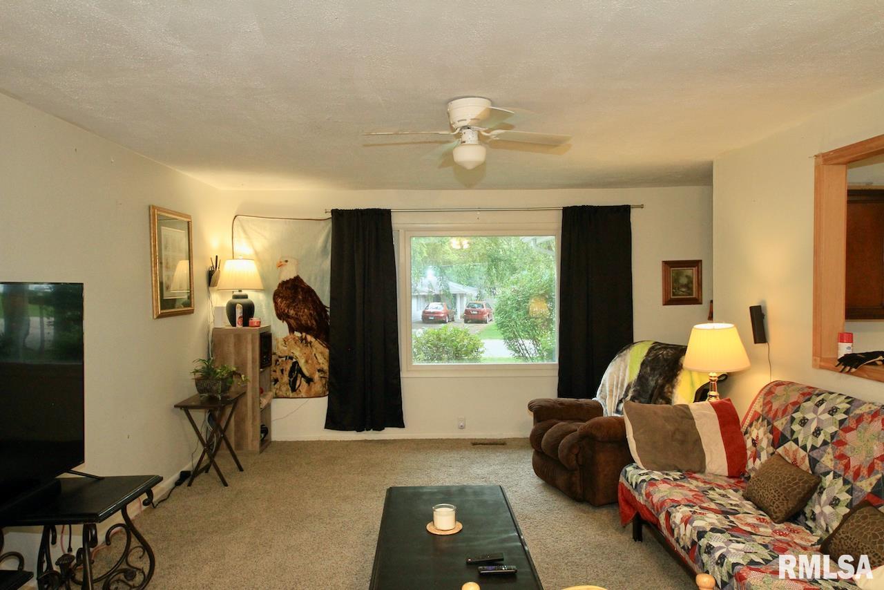 306 South Gray Drive Carbondale, IL 62901 - Photo 3 of 18