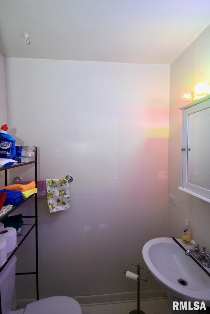 306 South Gray Drive Carbondale, IL 62901 - Photo 10 of 18