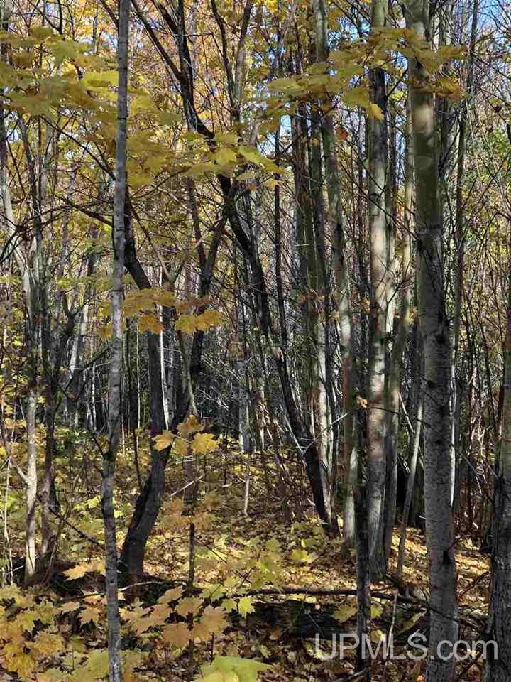 Tbd Tbd Kayleigh Road, Unit LOT 3 Mohawk, MI 49950 - Photo 4 of 5
