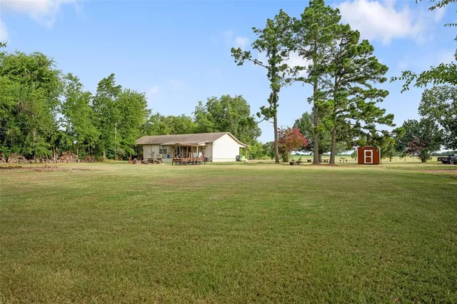 a park view with trees