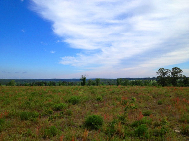 Tract B Township Road Aiken, SC 29803 - Photo 11 of 19