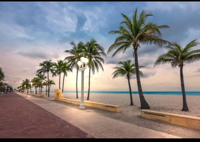 a view of and palm trees