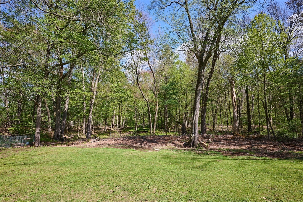 363 Cooley Street Springfield, MA 01128 - Photo 26 of 37