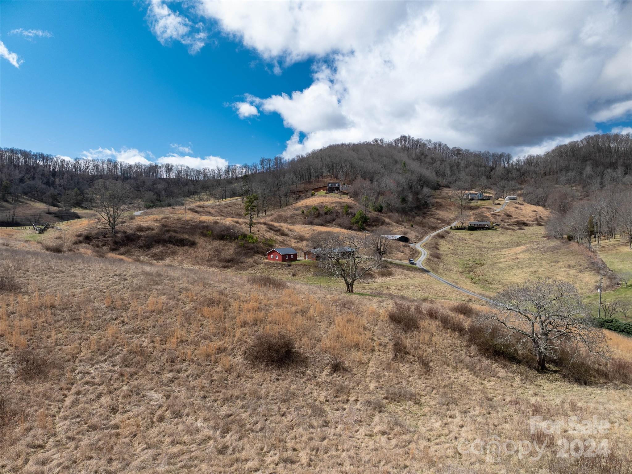 0 Belmont Drive Clyde, NC 28721 - Photo 13 of 15