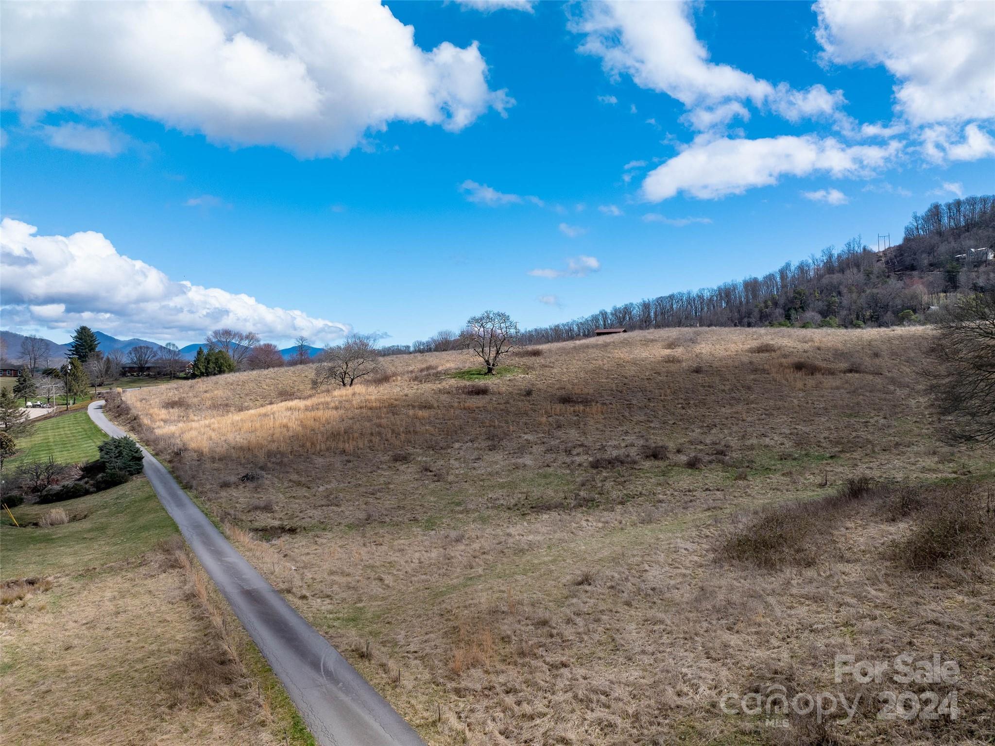 0 Belmont Drive Clyde, NC 28721 - Photo 5 of 15