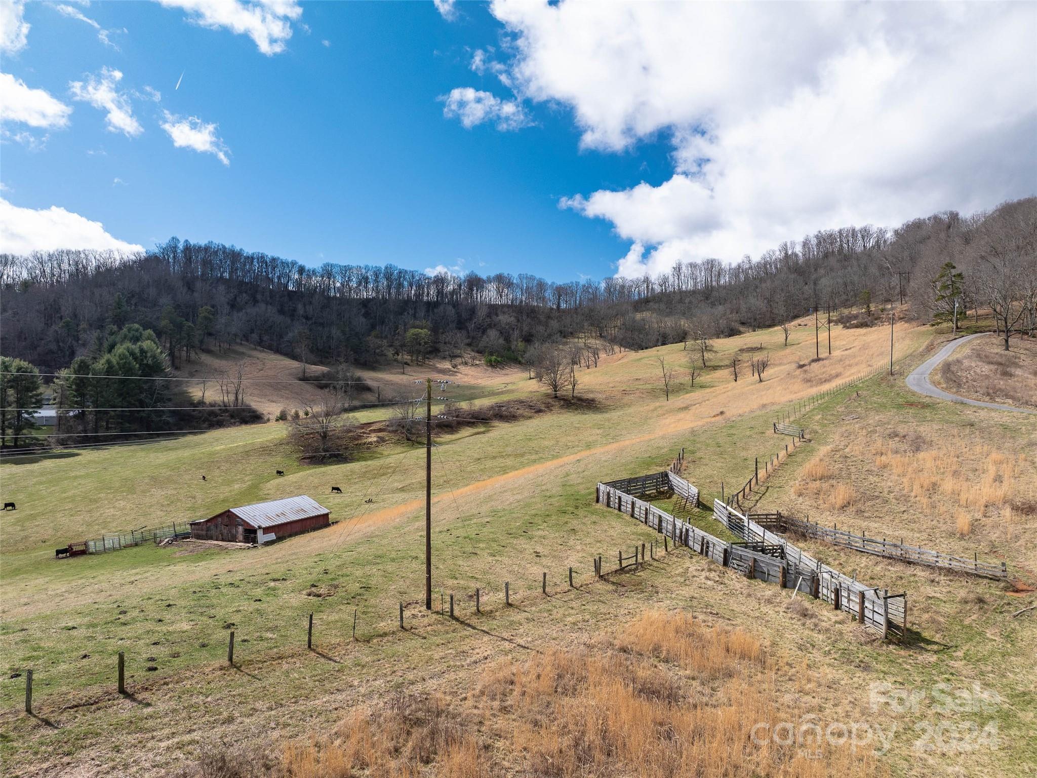 0 Belmont Drive Clyde, NC 28721 - Photo 6 of 15