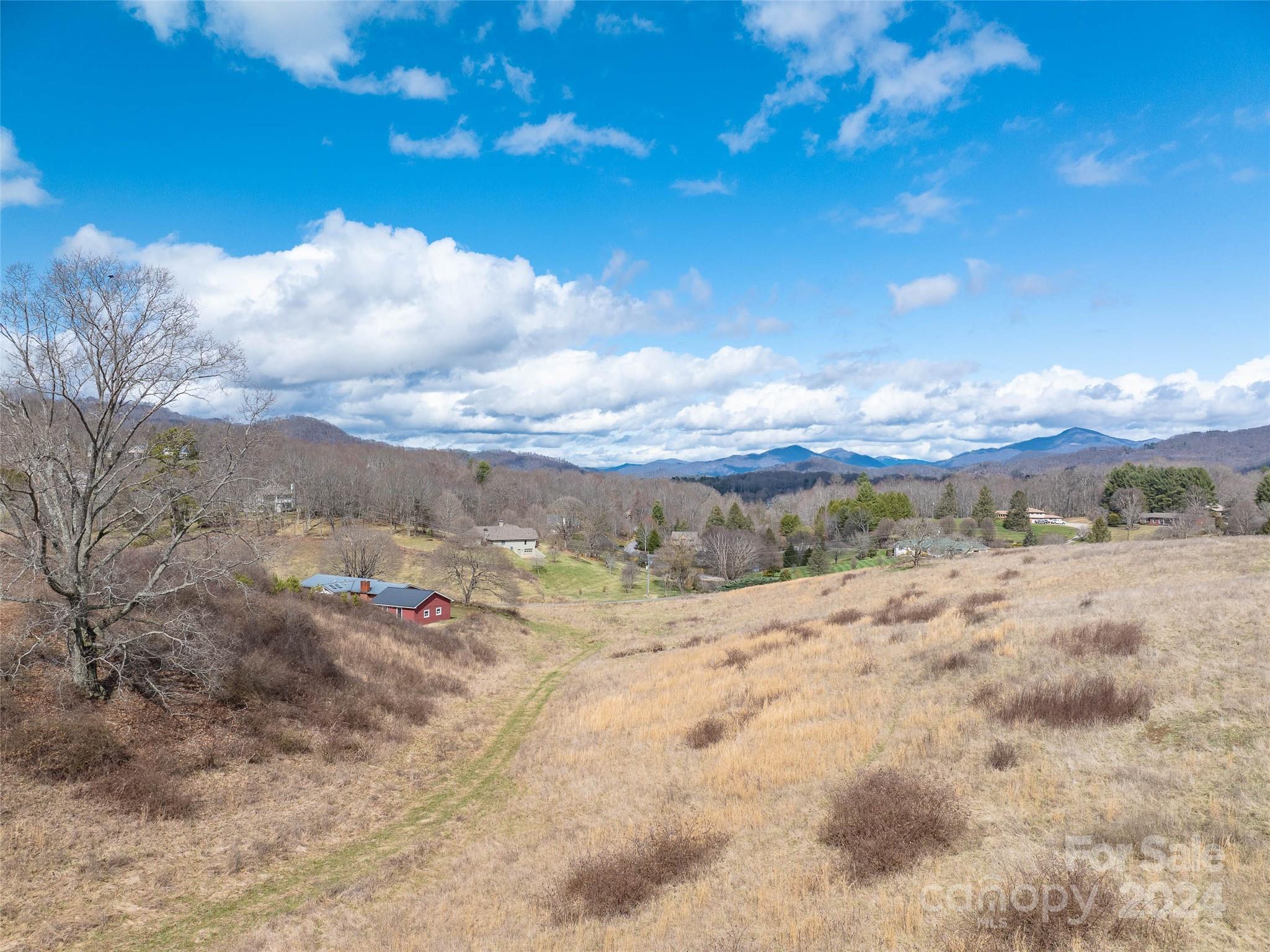 0 Belmont Drive Clyde, NC 28721 - Photo 7 of 15