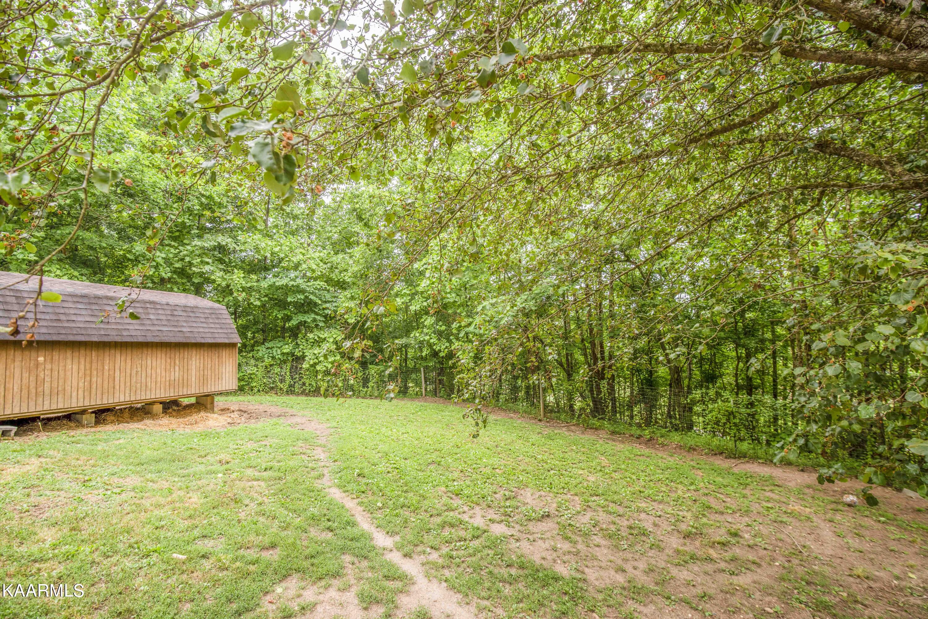 7411 Thomas Weaver Road Maynardville, TN 37807 - Photo 15 of 60 yard 11_1