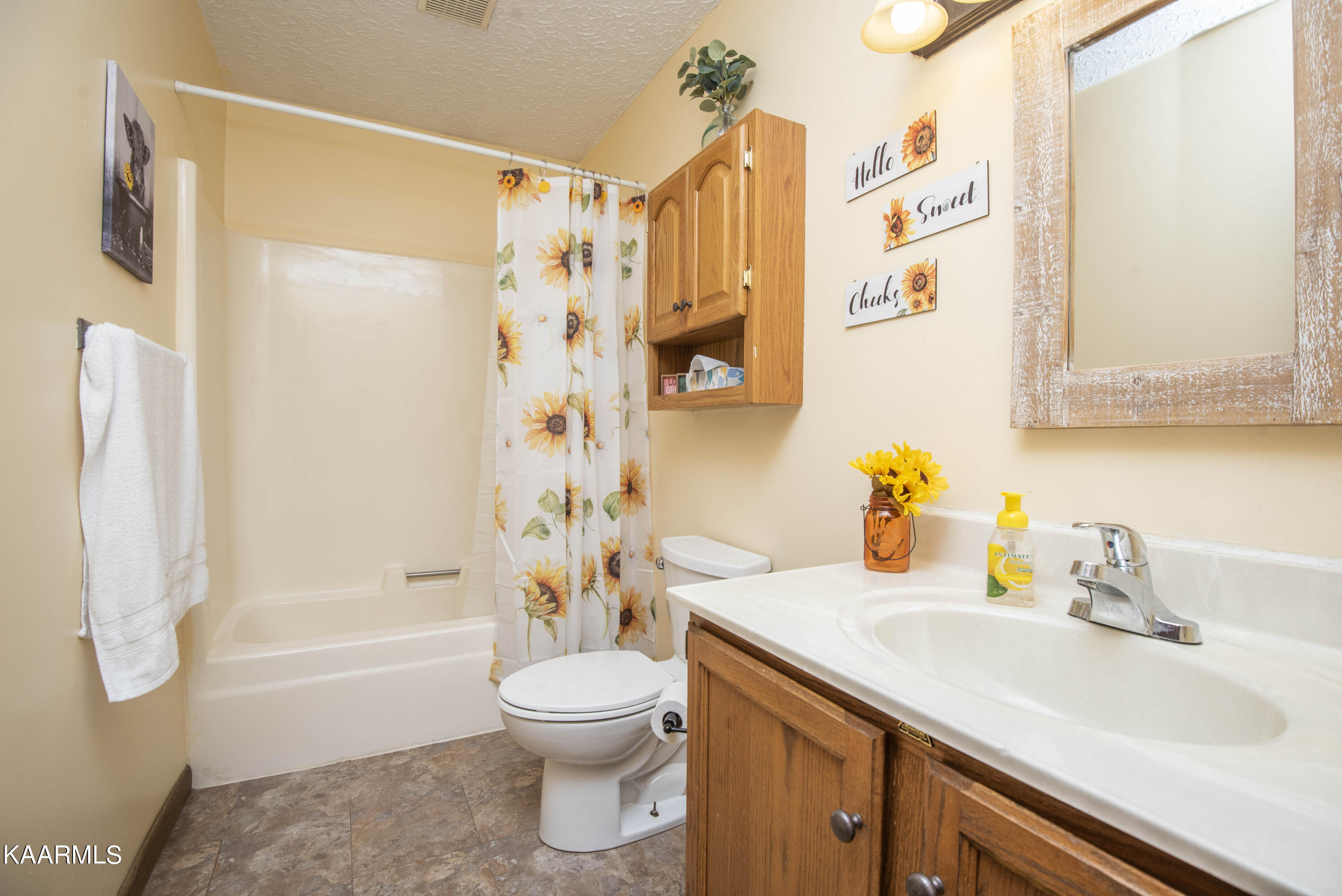 7411 Thomas Weaver Road Maynardville, TN 37807 - Photo 51 of 60 third bath_1