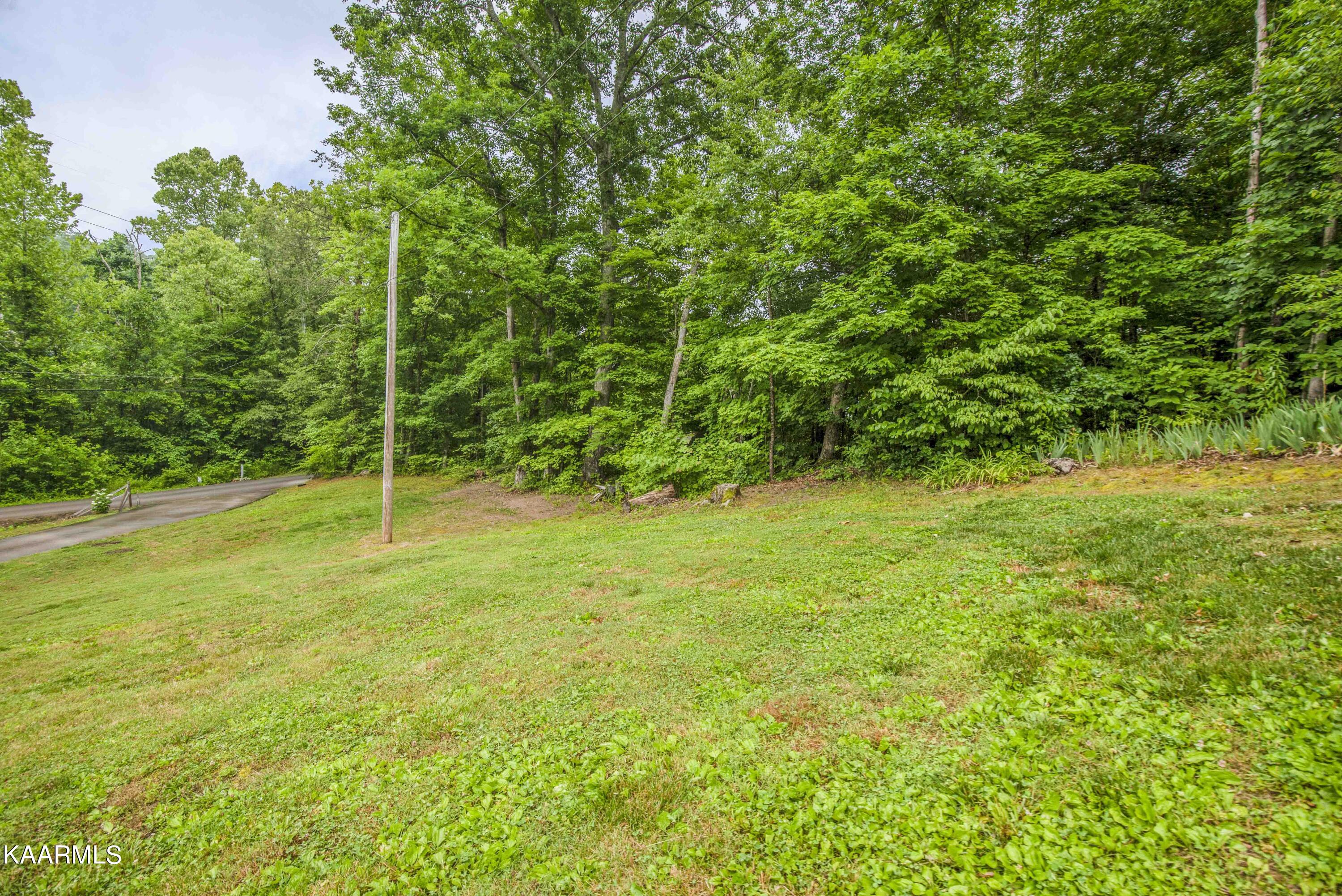 7411 Thomas Weaver Road Maynardville, TN 37807 - Photo 53 of 60 yard 1_1