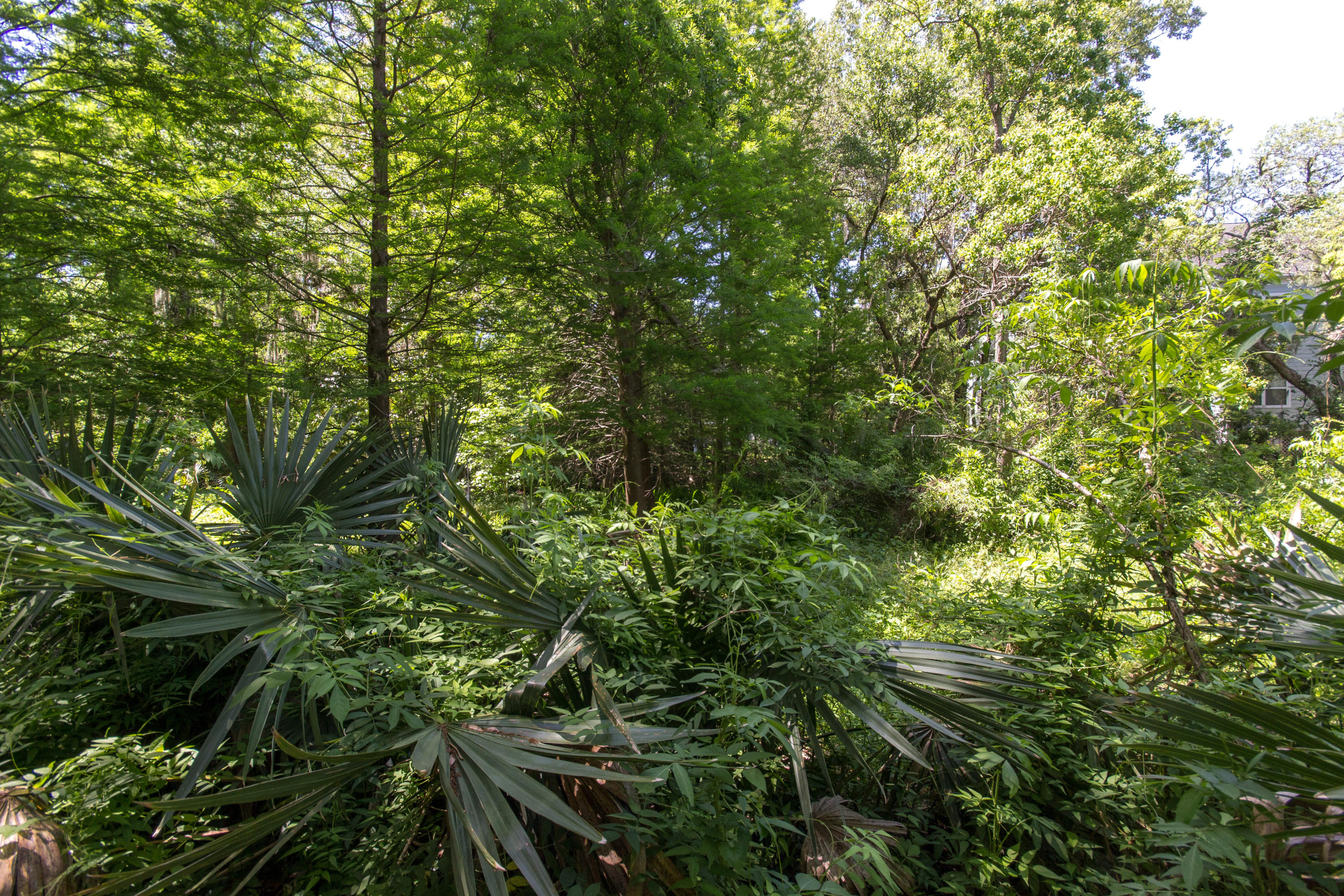 2326 Fidling Road Charleston, SC 29414 - Photo 31 of 35 2326 Fidling Rd
