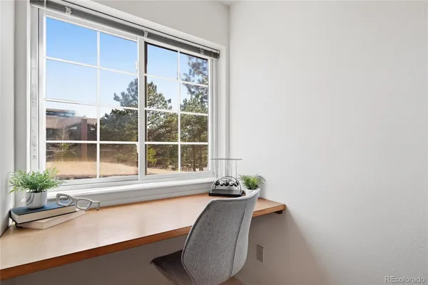 a view of a potted plant sitting on a counter