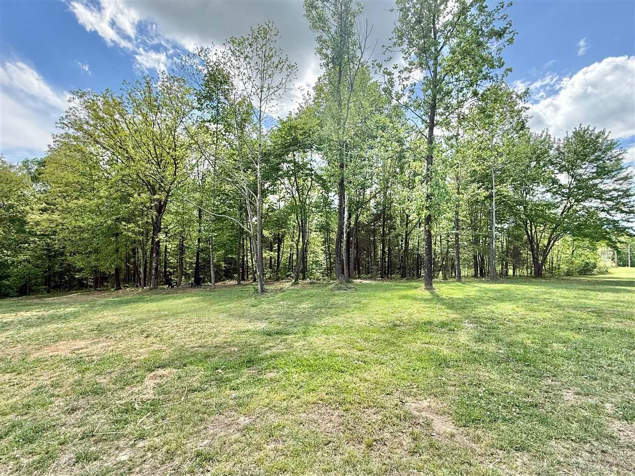182 Doe Run Road Morgantown, KY 42261 - Photo 97 of 99 Gallery Image 97