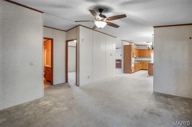 $120,000 | 1068 Murta Street, Marquand, MO 63655