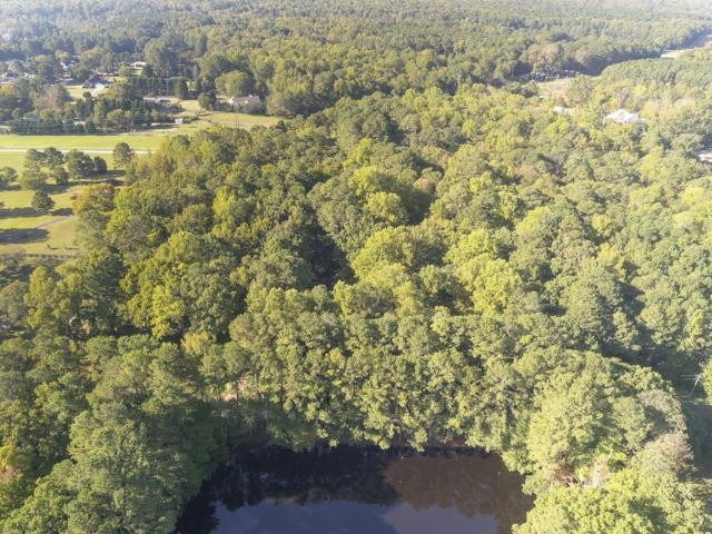 0 Burnside Drive Apex, NC 27539 - Photo 4 of 9 a view of a yard with trees
