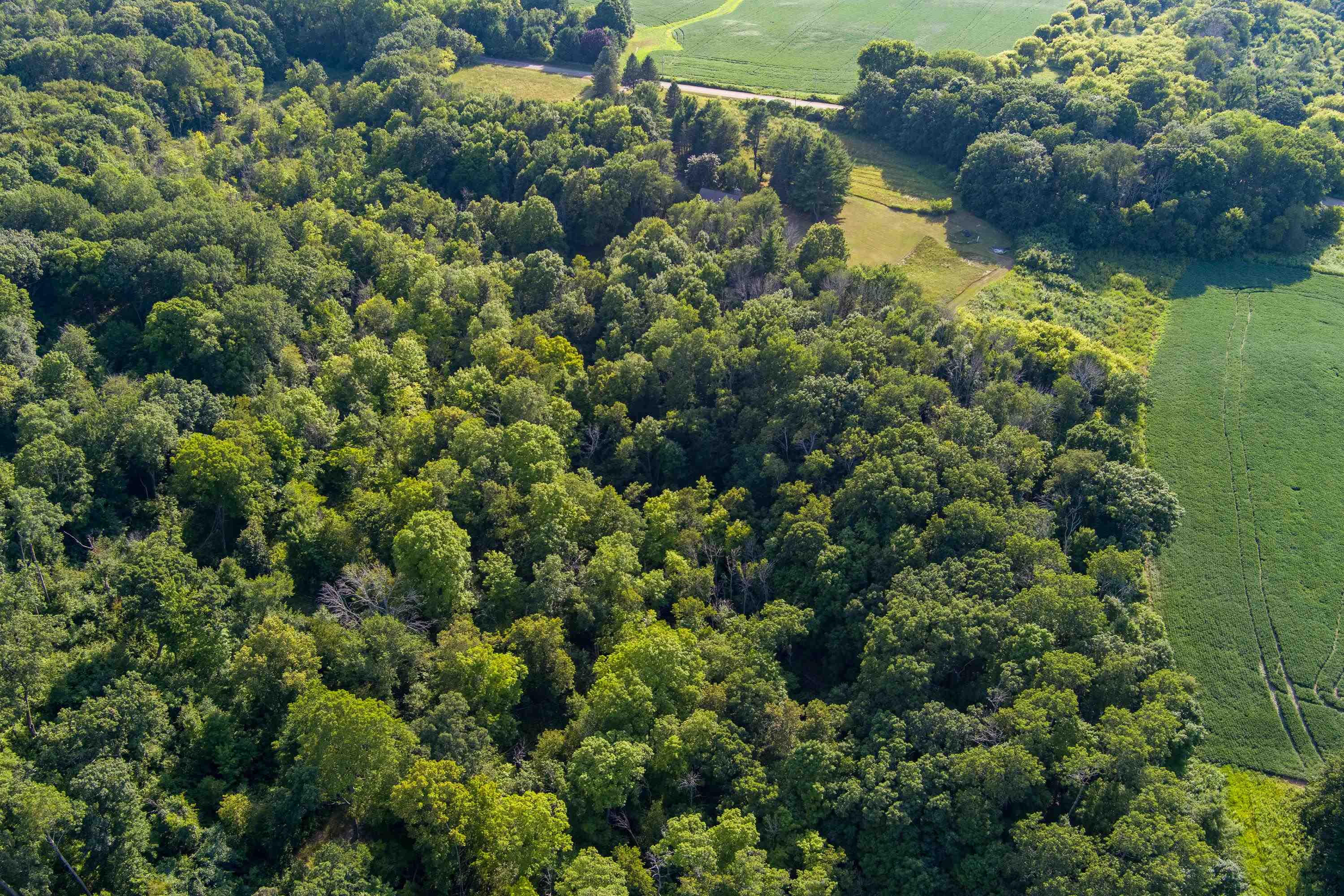 S5050 Durwards Glen Road Baraboo, WI 53913 - Photo 57 of 64